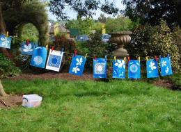 Cyanotypes images drying out